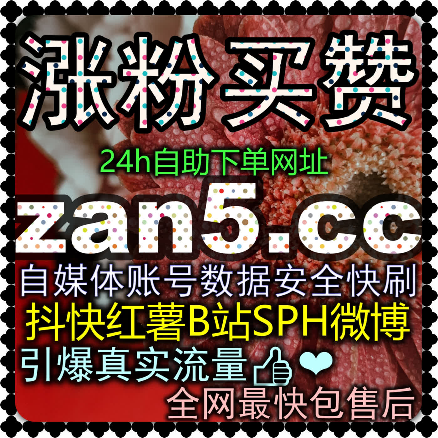 抖音直播包天与包场人气极速爆盘 入口地址 daihuo8.cc 抖音直播娱乐上榜人气与带货上榜人气